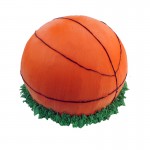3D003 Basket Ball