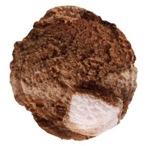 Bon Bon Rocher Gelato