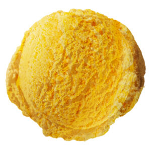 5Lt Sorbet Mango