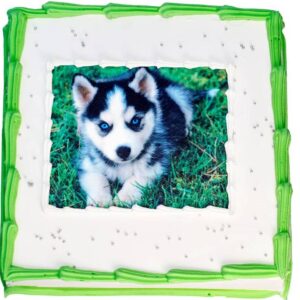 Custom Printed Image Cake